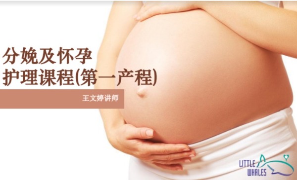 分娩及怀孕 01: 护理课程(第一课) (7章节)  (2 hours)